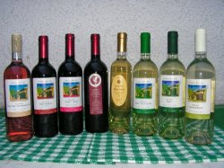 Vincellér Ház Sopron